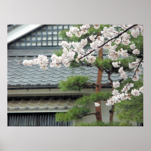 Blossom in the Rain Poster