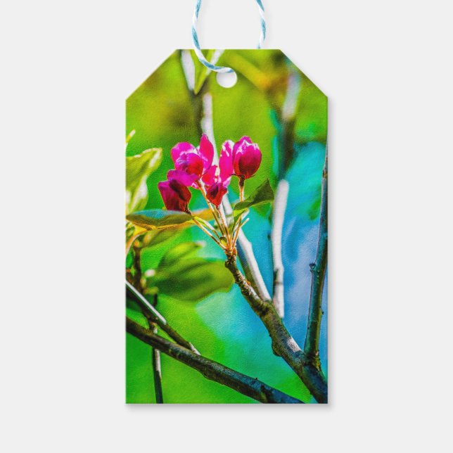 Blossom Inside Gift Tags (Front)