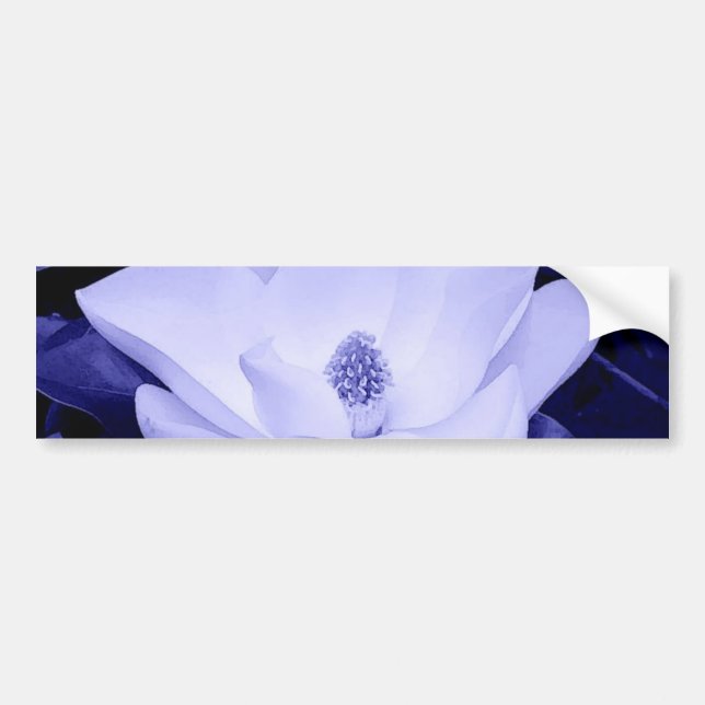 Blossom Magnolia Flower Bumper Sticker (Front)