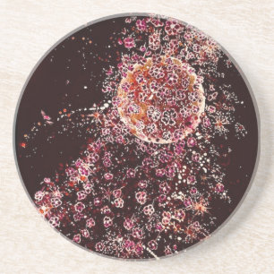 Blossom Moon Sandstone Coaster