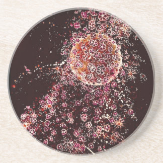 Blossom Moon Sandstone Coaster