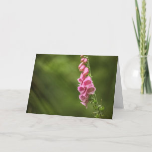 Blossom Nature Photo Card
