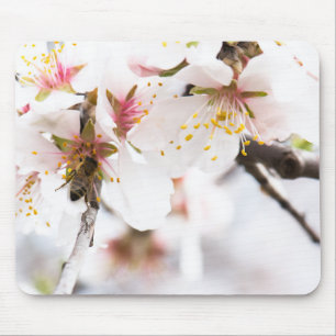 Blossom of the almond tree mouse pad