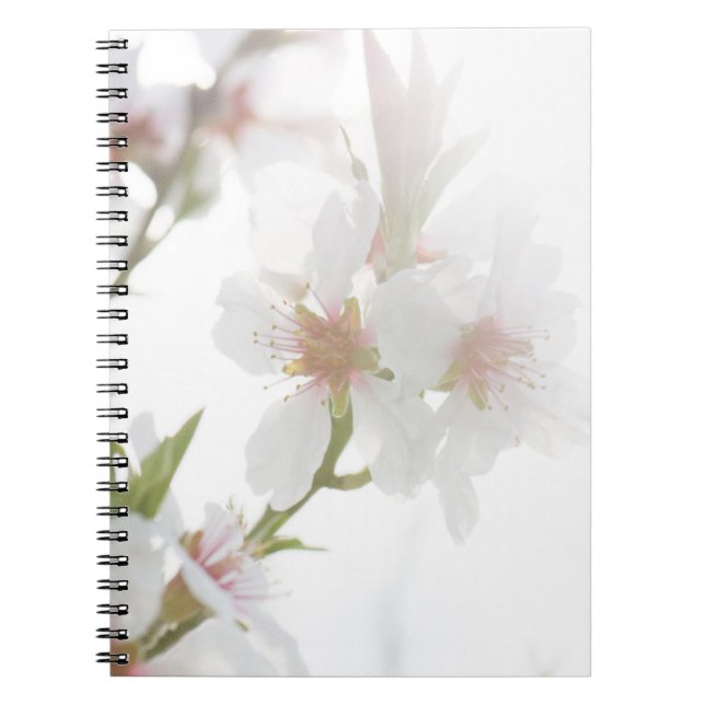 Blossom of the almond tree notebook (Front)