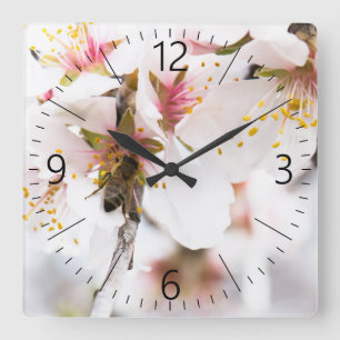 Blossom of the almond tree square wall clock