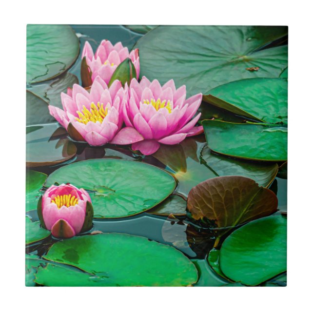 Blossom pink lotus ceramic tile (Front)