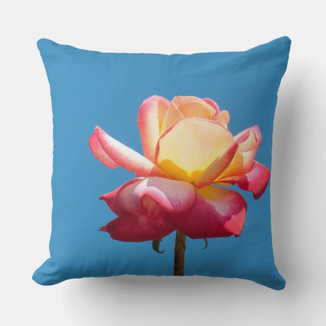 Blossom pink yellow rose cushion (Front)