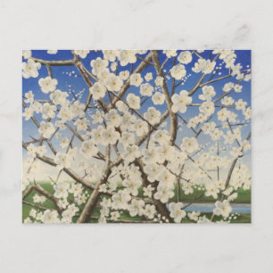 Blossom Springtime Blackthorn Sloe Postcard