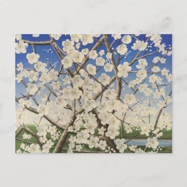 Blossom Springtime Blackthorn Sloe Postcard (Front)