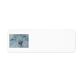 Blossom the Ragdoll Cat Return Address Label