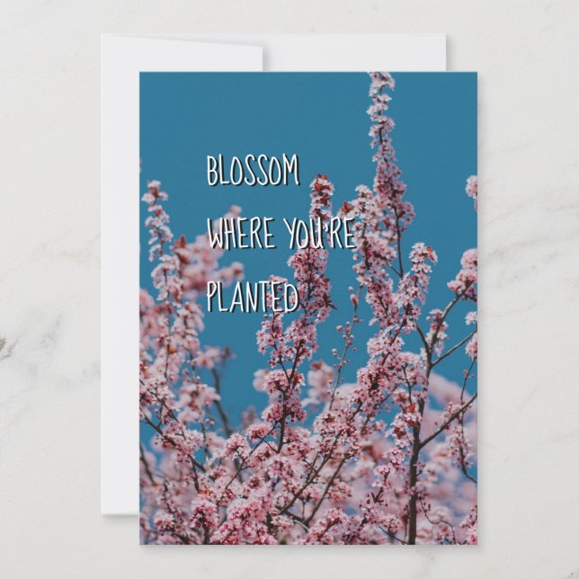 BLOSSOM WHERE PLANTED | Christian Encouragement (Front)