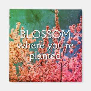 BLOSSOM WHERE YOU'RE PLANTED Inspirational Magnet