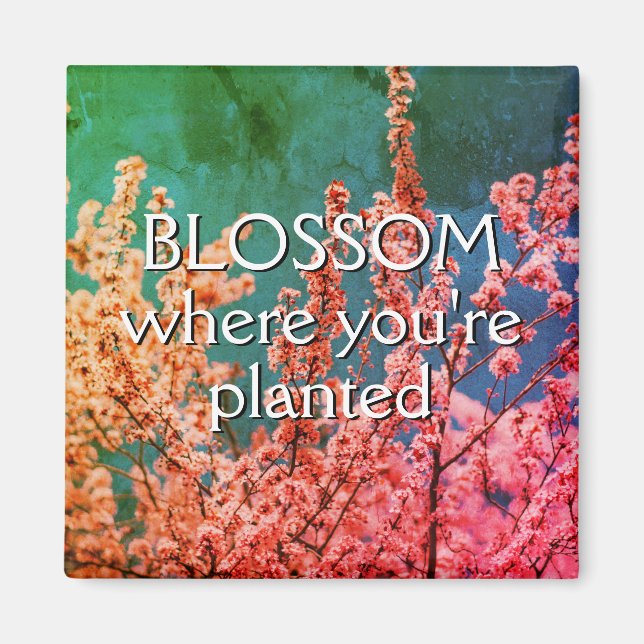 BLOSSOM WHERE YOU'RE PLANTED Inspirational Magnet (Front)