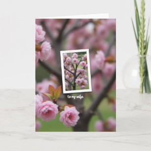 Blossom Wife Mothers Day Card