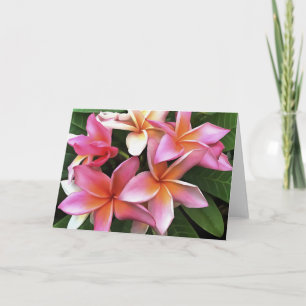 Blossom Wreath Of Pale Pink Frangipani Card