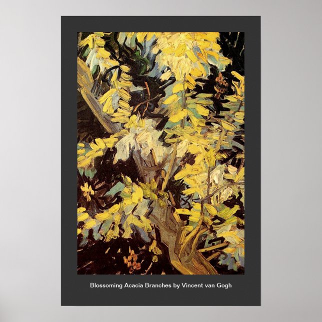 Blossoming Acacia Branches Vincent van Gogh. Poster (Front)