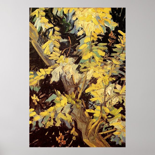 Blossoming Acacia Branches Vincent van Gogh. Poster (Front)