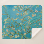 Blossoming Almond Tree by Van Gogh Sherpa Blanket<br><div class="desc">Blossoming Almond Tree by Van Gogh.
Please visit my store for more interesting design and more colour choice. => zazzle.com/iwheels*</div>