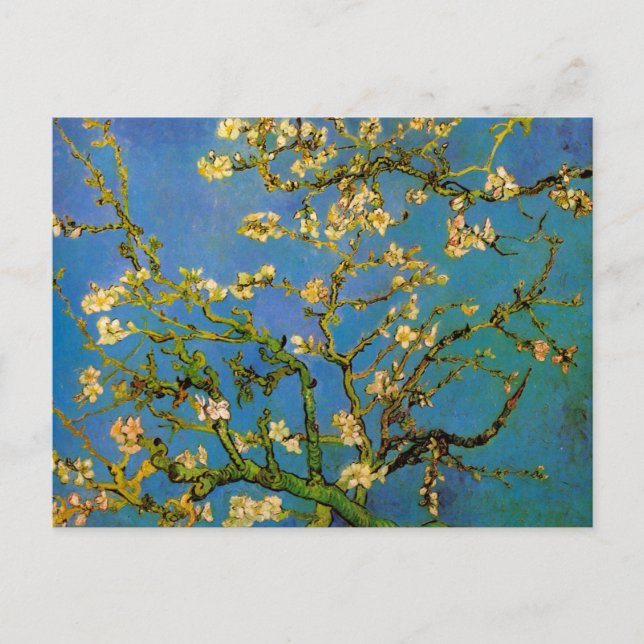 Blossoming Almond Tree by Vincent van Gogh Postcard (Front)