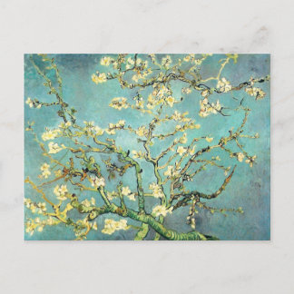 Blossoming Almond Tree Van Gogh Fine Art Postcard