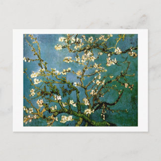 Blossoming Almond Tree Van Gogh Fine Art Postcard