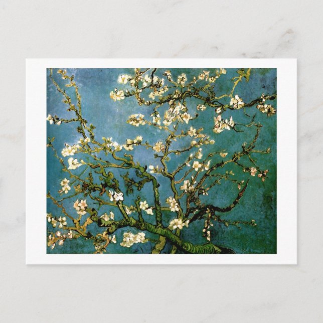 Blossoming Almond Tree Van Gogh Fine Art Postcard (Front)