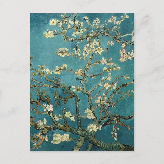 Blossoming Almond Tree - Van Gogh Postcard (Front)