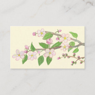 Blossoming Apple Tree Branch Illustration Enclosure Card
