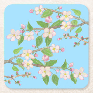 Blossoming Apple Tree Branch Sky Blue Square Paper Coaster