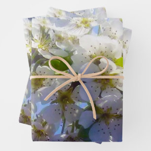  Blossoming branch of a pear  Wrapping Paper Sheet