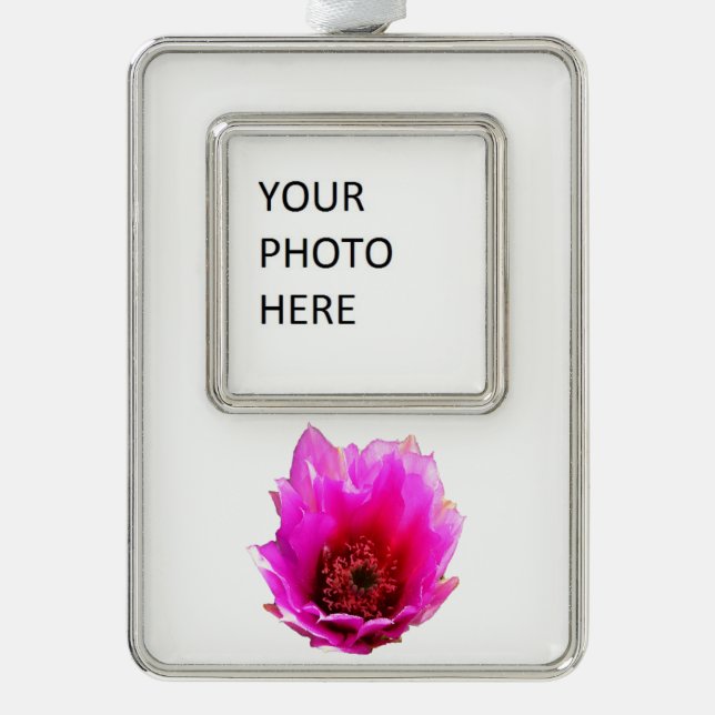 Blossoming Cactus (Prickly Pear) Wildflower Silver Plated Framed Ornament (Front)