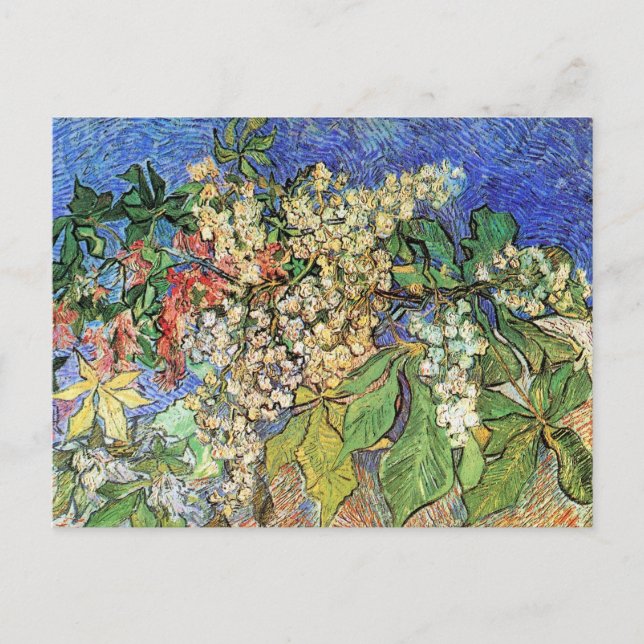 Blossoming Chestnut Branches by Vincent van Gogh Postcard (Front)
