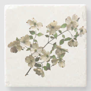 Blossoming Dogwood Flowers on Branch Stone Coaster
