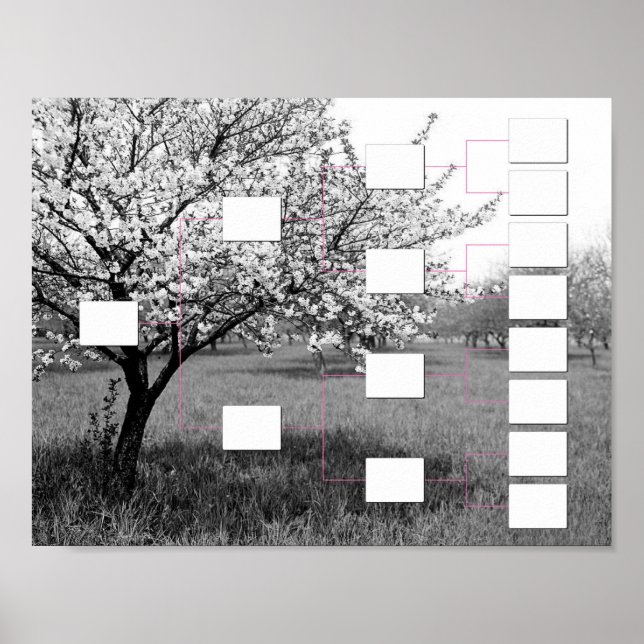 Blossoming Family Tree: 4 Generation Wall Chart (Front)