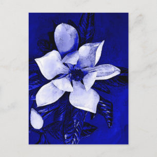 Blossoming Magnolia Postcard