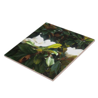 Blossoming Magnolia Tree Ceramic Tile