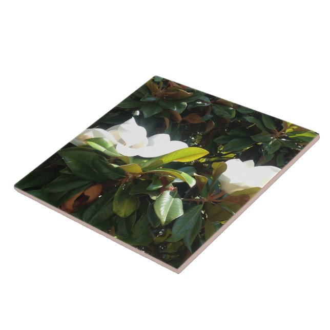 Blossoming Magnolia Tree Ceramic Tile (Side)
