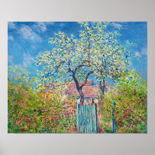  Blossoming pear tree, Monet Poster (Front)