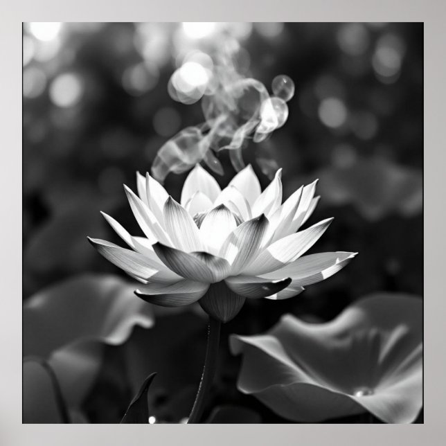 Blossoming Tranquillity: Lotus Charcoal Art Poster (Front)
