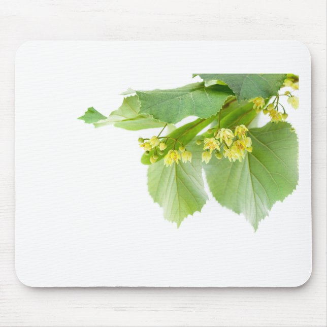 Blossoming twig of limetree or linden tree mouse pad (Front)