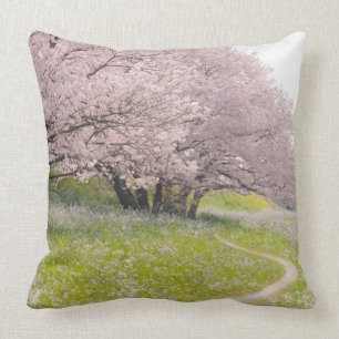 Blossoming Yoshino cherry trees in a field of Cushion
