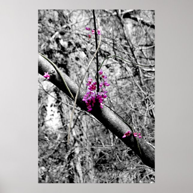 Blossoms 2 poster (Front)