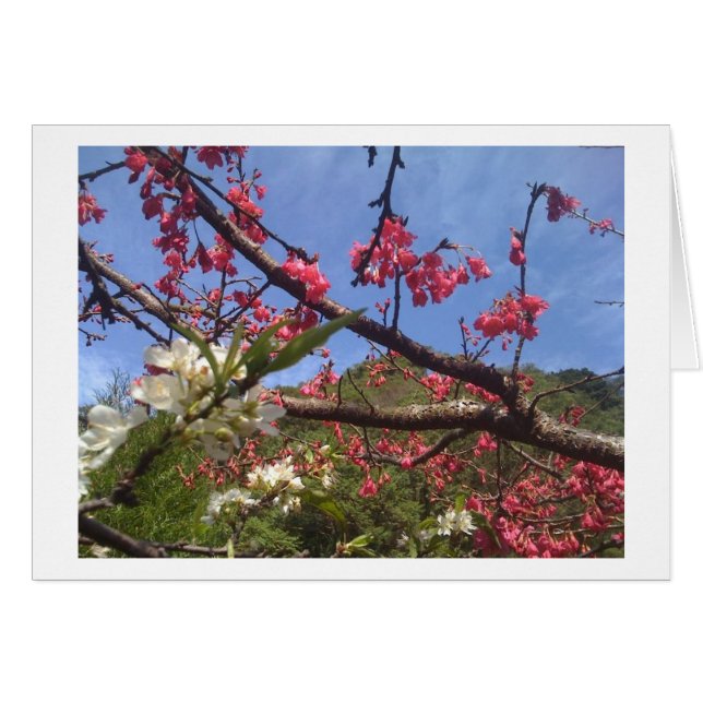 Blossoms card (Front Horizontal)