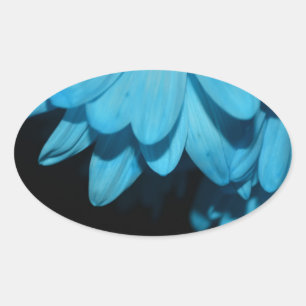 Blossoms Daisy Flowers Peace Love Nature Destiny Oval Sticker