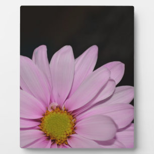 Blossoms Daisy Flowers Peace Love Nature Destiny Plaque