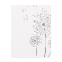 Blossoms Dandelion Flowers Peace Love Destiny