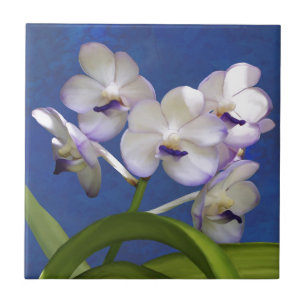 Blossoms Floral Plants Colourful Photograph Art Tile