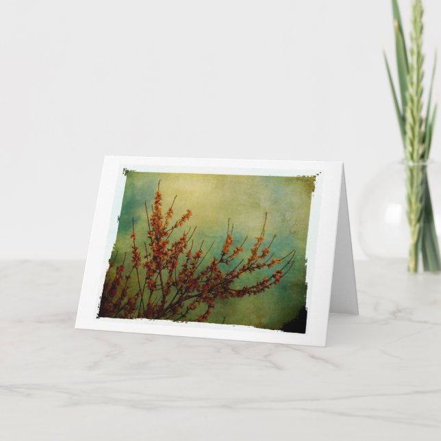 Blossoms, Get Well Soon Card (Front)