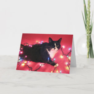 Blossom's Happy Holidays card