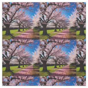"Blossoms in Bloom: Rows of Cherry Trees in Spring Fabric